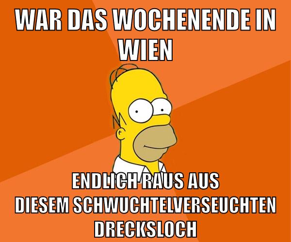 war das wochenende in wien endlich raus aus diesem schwuchtelverseuchten drecksloch