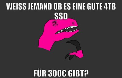 weiß jemand ob es eine gute 4tb ssd für 300€ gibt?