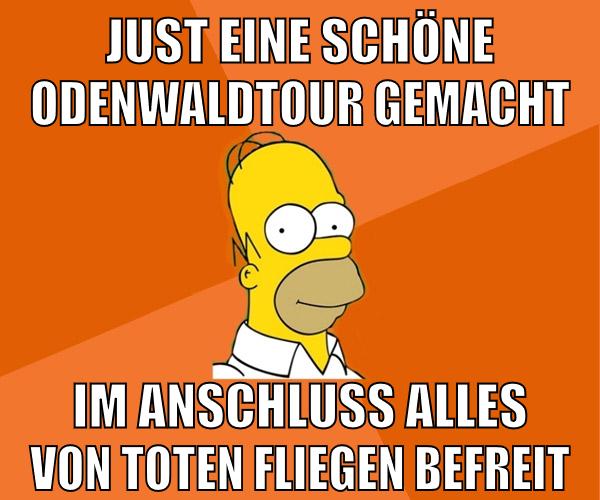 just eine schöne odenwaldtour gemacht im anschluss alles von toten fliegen befreit