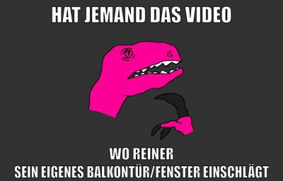 hat jemand das video wo reiner sein eigenes balkontür/fenster einschlägt