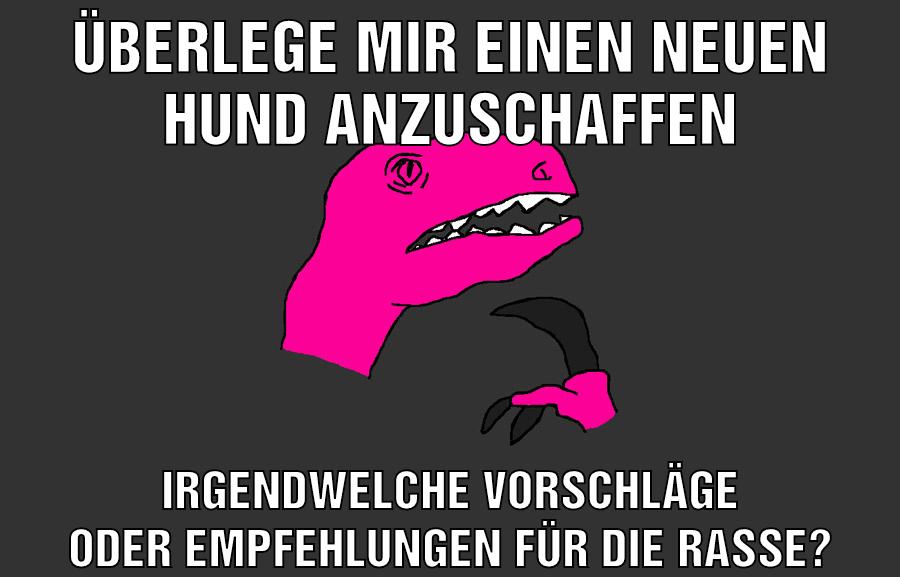 Überlege mir einen neuen hund anzuschaffen Irgendwelche vorschläge oder empfehlungen für die rasse?