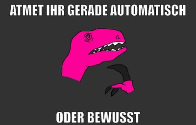 atmet ihr gerade automatisch oder bewusst