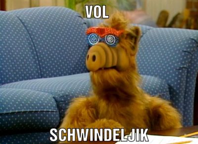 Vol Schwindeljik