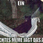 ein  schlechtes meme jagt das andere