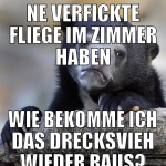 ne verfickte fliege im zimmer haben wie bekomme ic