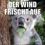 Der Wind Frischt auf Es gewittert gleich