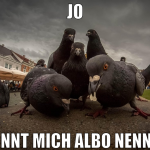 jo könnt mich albo nennen