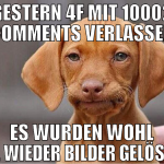 gestern 4f mit 10002 comments verlassen es wurden 
