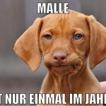 malle ist nur einmal im jahr :(