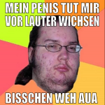 Mein Penis tut mir vor lauter wichsen bisschen weh
