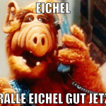 Eichel Pralle Eichel gut jetzt
