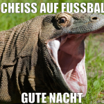 scheiss auf fussball gute nacht