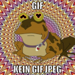 gif kein gif.jpeg