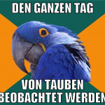 den ganzen tag von tauben beobachtet werden