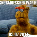Dicke Radieschen war hier 05.07.2014