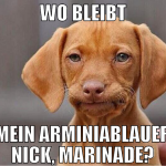 WO BLEIBT MEIN ARMINIABLAUER NICK, MARINADE?
