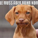 FINALE MUSS ABER MEHR KOMMEN