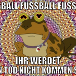 Fussball FUSSBALL FUSSBALL ihr werdet euren Tod ni