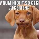 WARUM NICHT SO GEGEN ALGERIEN?