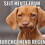 Seit Heute Früh  Durchgehend Regen 