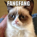fangfang chocobo