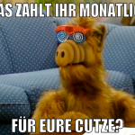 Was zahlt ihr monatlich für eure cutze?
