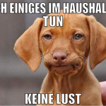 noch einiges im haushalt zu tun keine lust