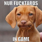 Nur fucktards in game