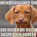 Stinkendewaginer online morgen wieder die watchlis