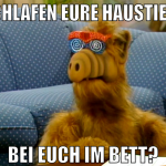 schlafen eure haustiere bei euch im bett?