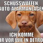 Schusswaffen, Auto-Alarmanlagen Ich komme mir vor 