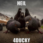 heil 4ducky