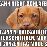 kann nicht schlafen fappen, hausarbeit weiterschre
