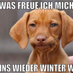 was freue ich mich wenns wieder winter wird