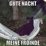 gute nacht meine froinde