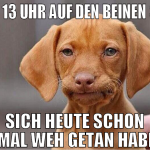 Seit 13 uhr auf den beinen sein sich heute schon 3