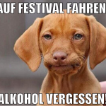 Auf Festival fahren! Alkohol vergessen!