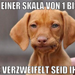 auf einer skala von 1 bis 10 wie verzweifelt seid 