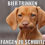 bier trinken anfangen zu schwitzen