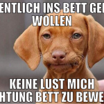 eigentlich ins bett gehen wollen keine lust mich r