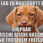 EX läd zu hausparty ein ein paar komische blicke k