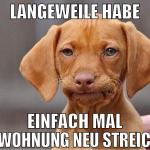 langeweile habe einfach mal die wohnung neu streic