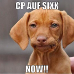 CP auf sixx NOW!!
