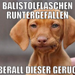 BALISTOLFLÄSCHEN RUNTERGEFALLEN ÜBERALL DIESER GER
