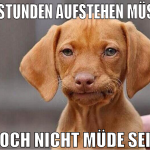 in 7 stunden aufstehen müssen noch nicht müde sein