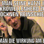 Wenn man seine Katze in den Mikrowellenherd zum Tr