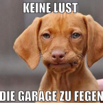 keine lust  die garage zu fegen