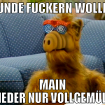 Runde Fuckern wollen Main wieder nur vollgemüllt
