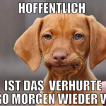 hoffentlich  ist das  verhurte logo morgen wieder 