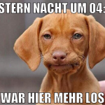 GESTERN NACHT UM 04:00 WAR HIER MEHR LOS